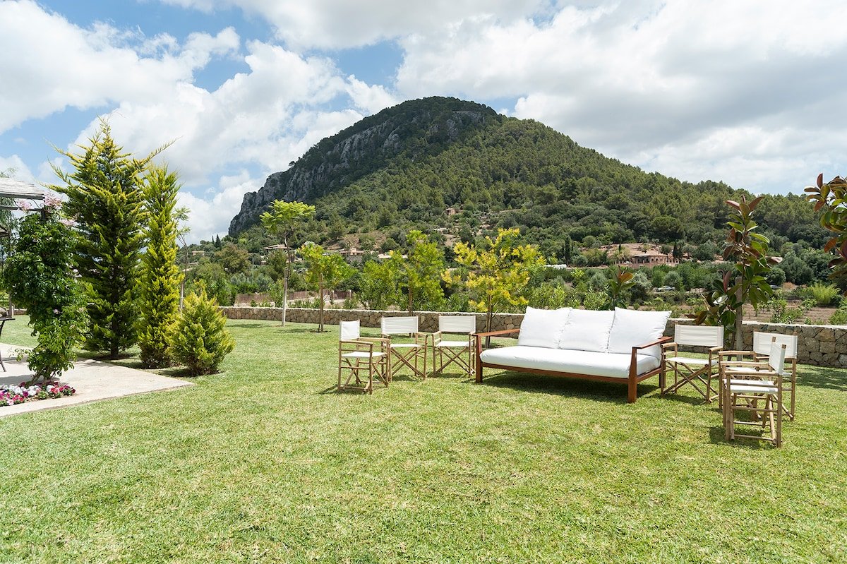 Can Morey gallery image 4