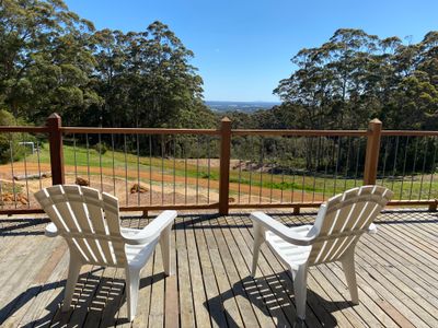 Mountain top forest, bike track, stunning vista