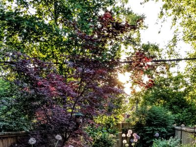 Charming Cozy Home In Leslieville.