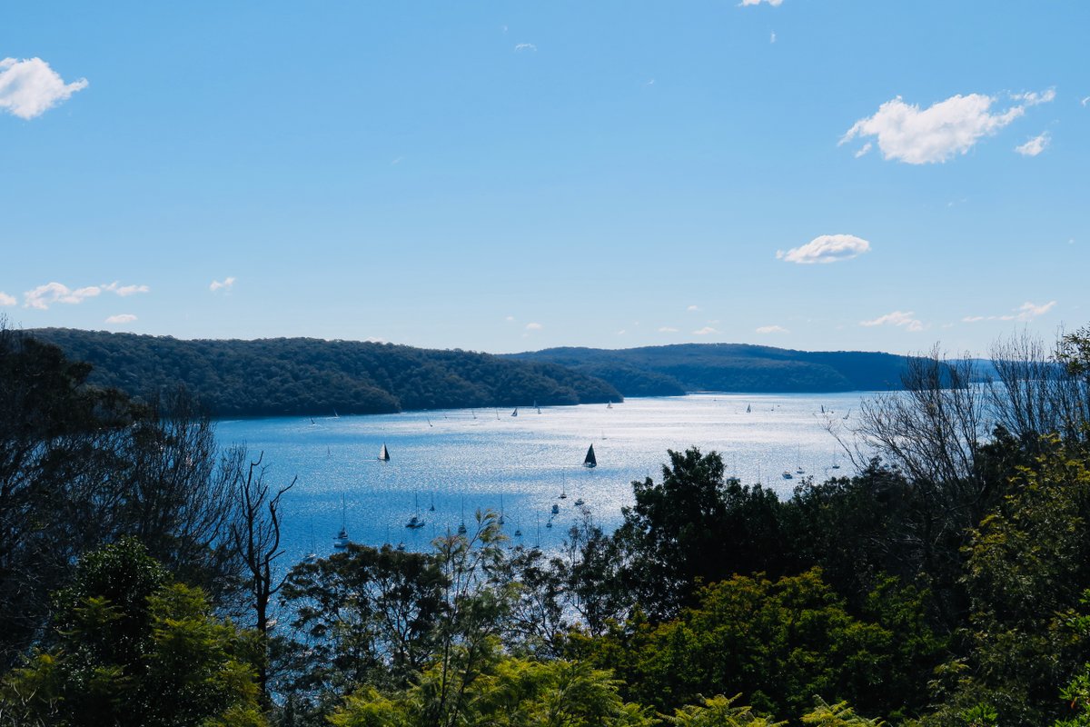 Panoramic Water Views in Treetop Luxury