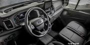 FORD TRANSIT 2.0 TDCi PANTHER 470 ELWB F/C P/V - 31 thumb