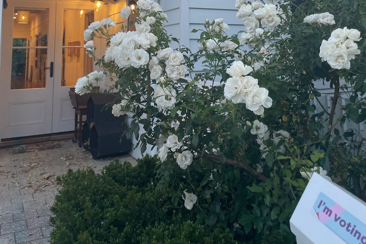 Paradise on the Park- a peaceful, green retreat. gallery image 2