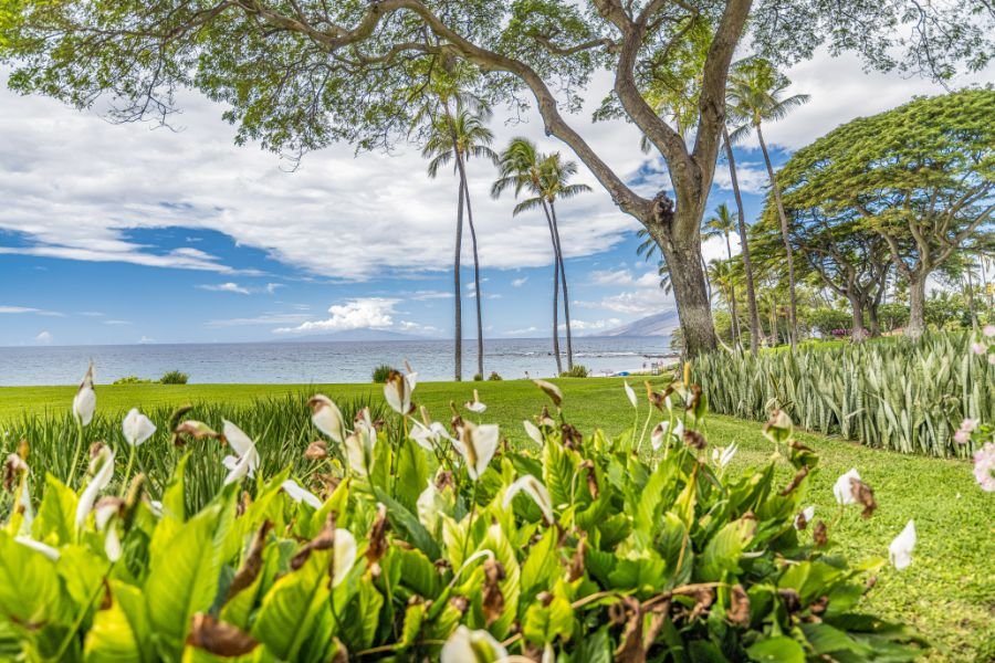 Prime Oceanfront 3Bd/3Ba Condo-Wailea Elua #1305 gallery image 5