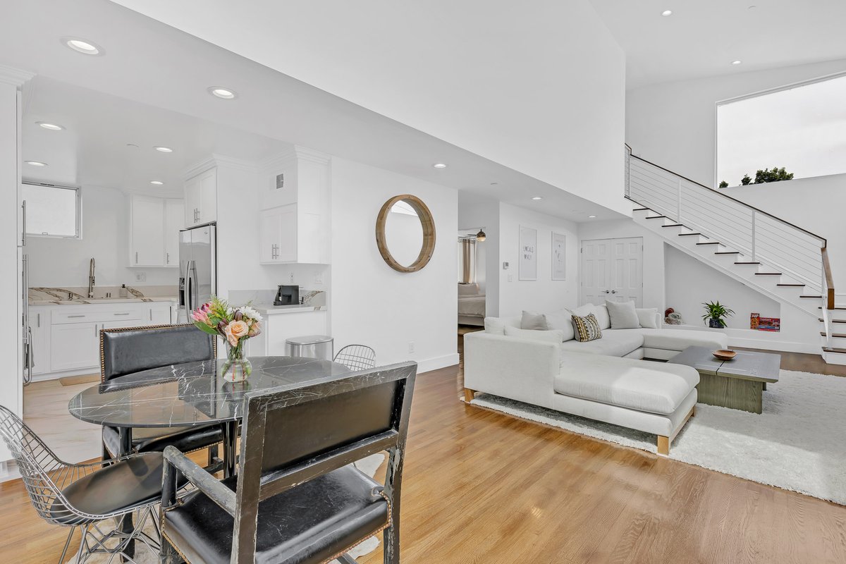 Venice Fun + Sun Haven