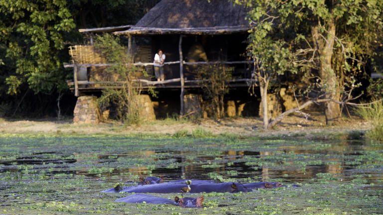Mfuwe Lodge Chalets
