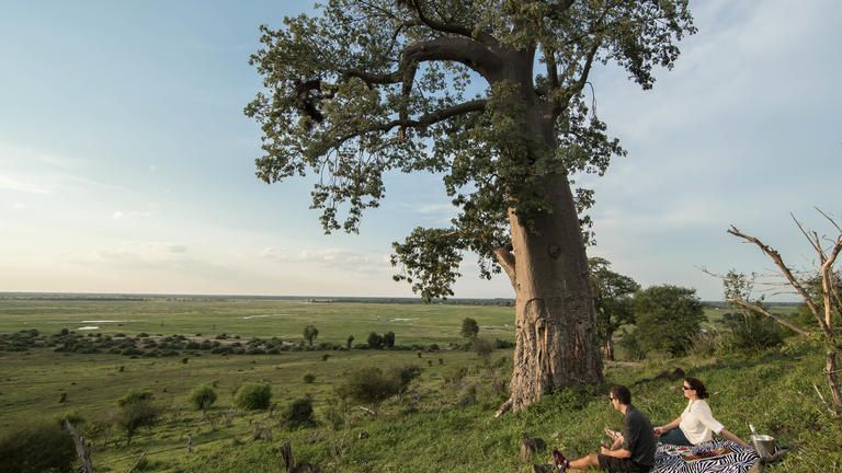 Sundowners at Muchenje - Enjoy Muchenje to yourself on long stay exclusive picnics on the banks of the Chobe.