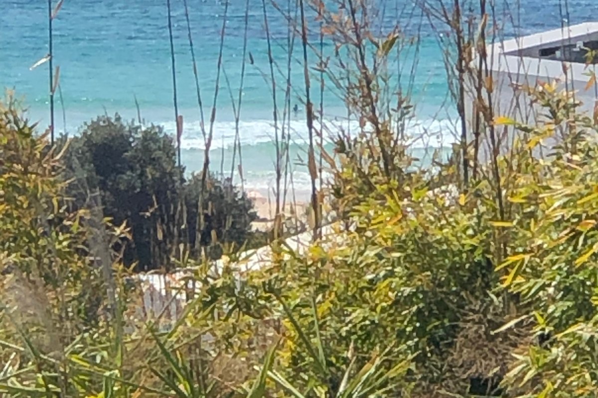 Forster Beach House: 2026 special – Mar, Apr & May