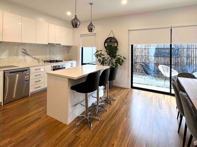 Common fig tree in Sunshine