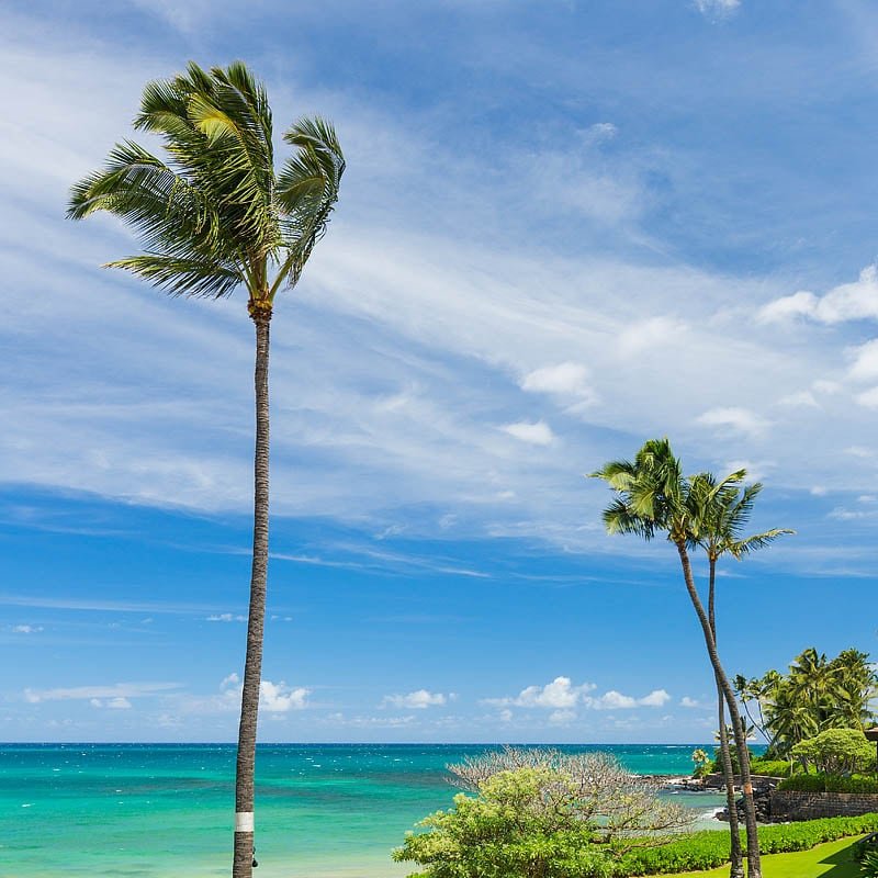 Oceanfront with beach and pool gallery image 5