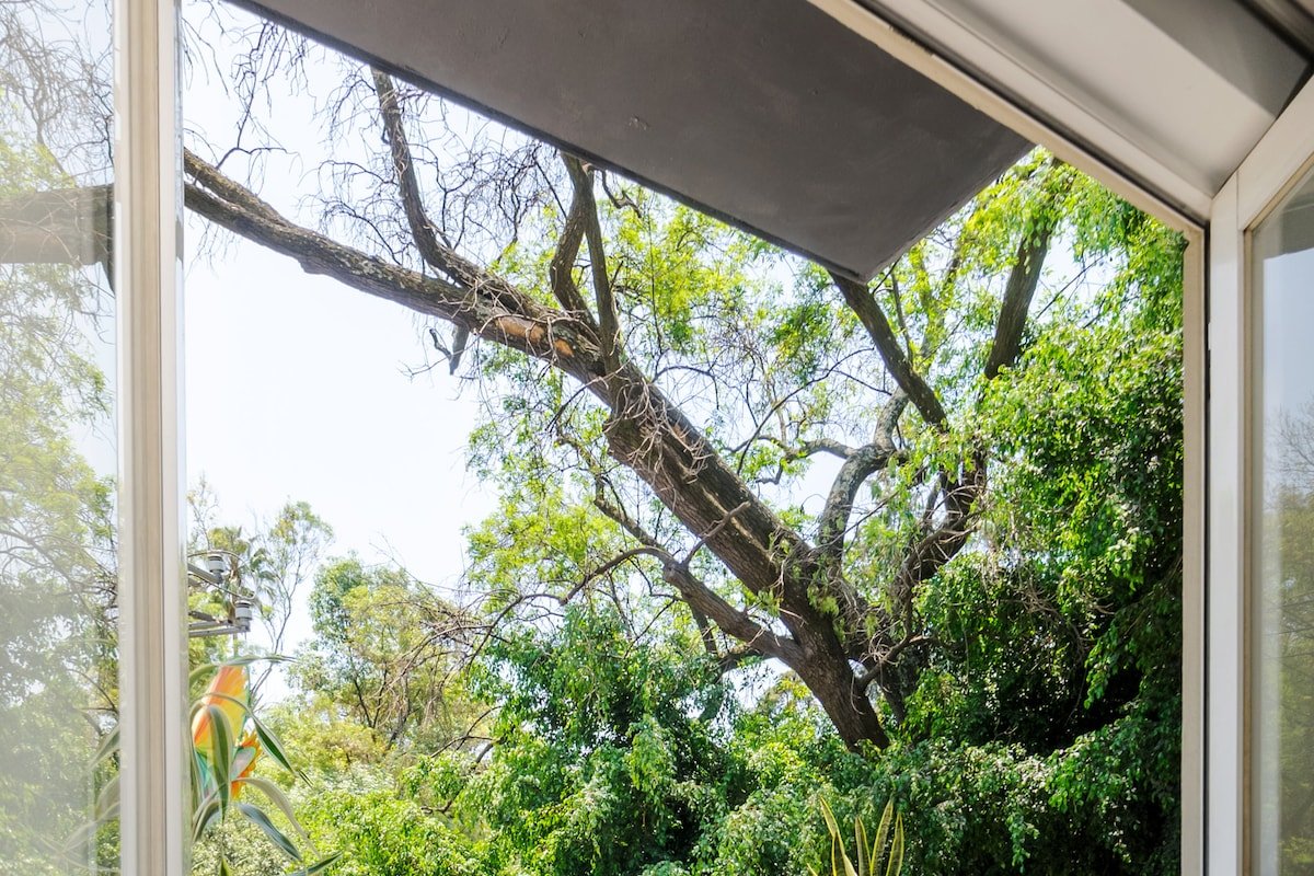 Vintage Boutique Apartment Roma Norte 2Br/2Ba gallery image 2