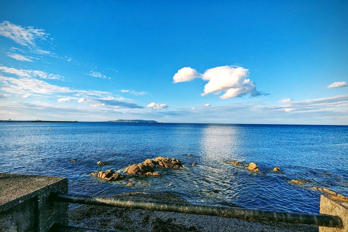 Wonderful Dublin House | Beach | Train Station gallery image 4
