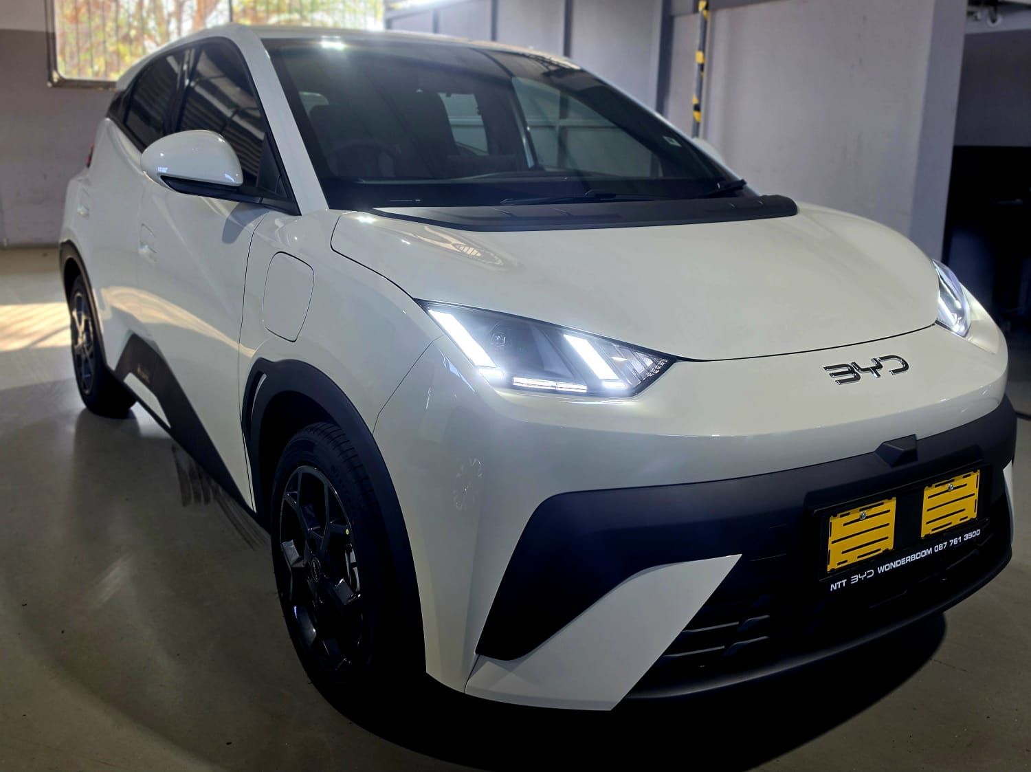 BYD DOLPHIN SURF for Sale in South Africa