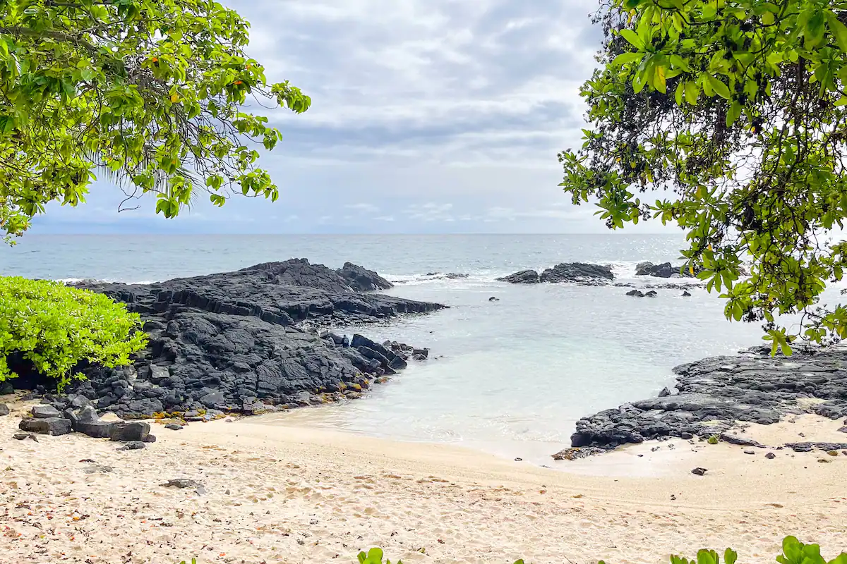 Seaside Cottage – The beach is your front yard!