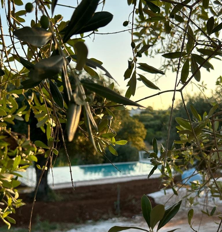 Portico – Heated pool -Trulli 4 apartments gallery image 4