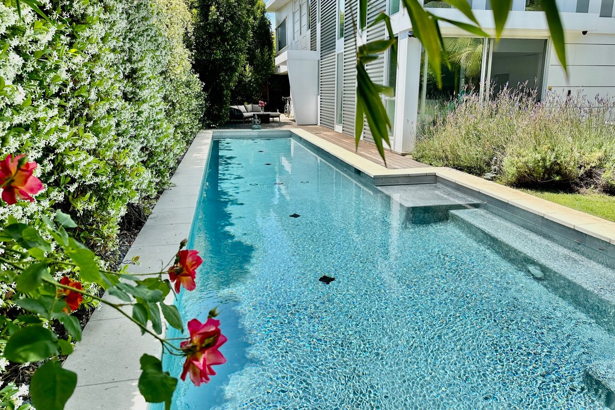 Modern Oasis in Santa Monica