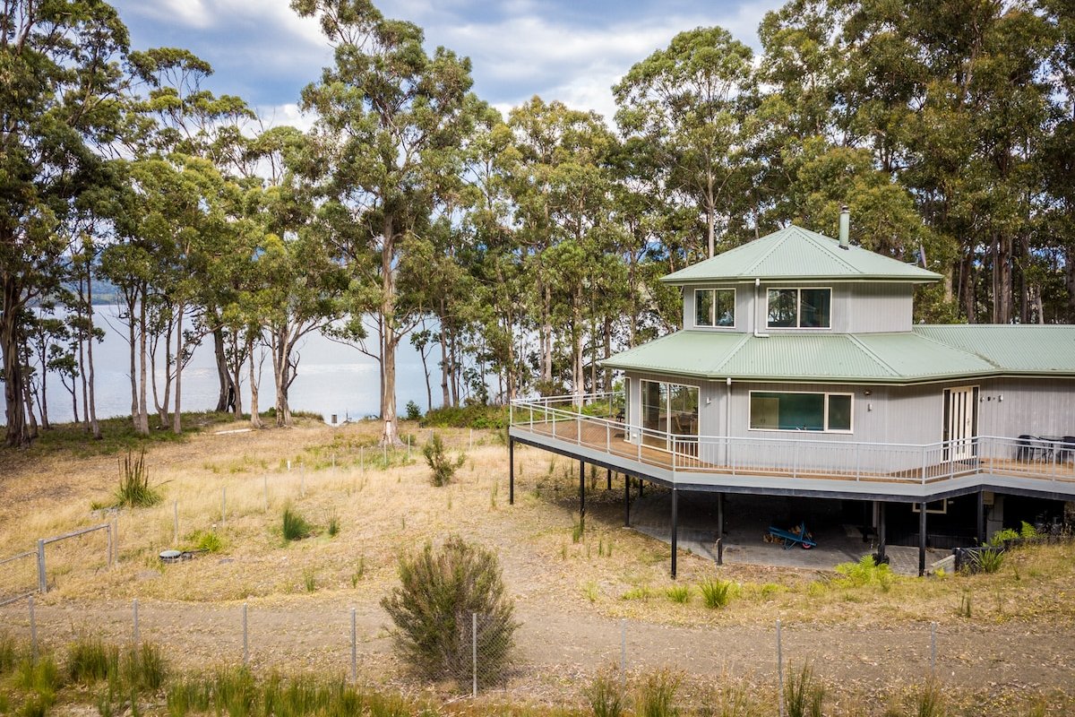 Tall Trees- Aurora Chaser’s Dream gallery image 5