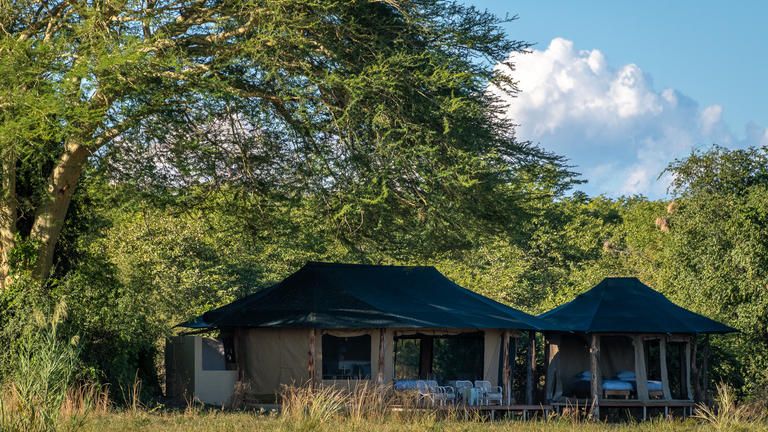 Kuthengo Camp Suite