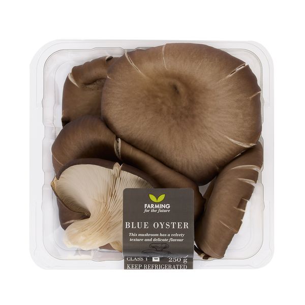 Photo of Blue Oyster Mushrooms 250 g