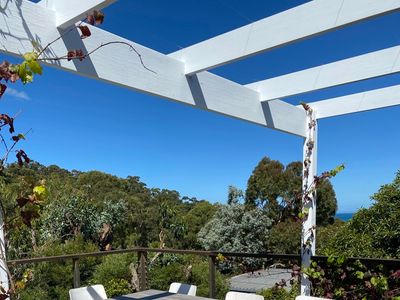 Light & Contemporary