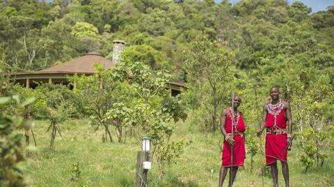 The lodge and tented suites are nestled within the forest making guest feel at one with nature - The lodge and tents are hidden in the forest above the Mara Triangle providing a serene experience