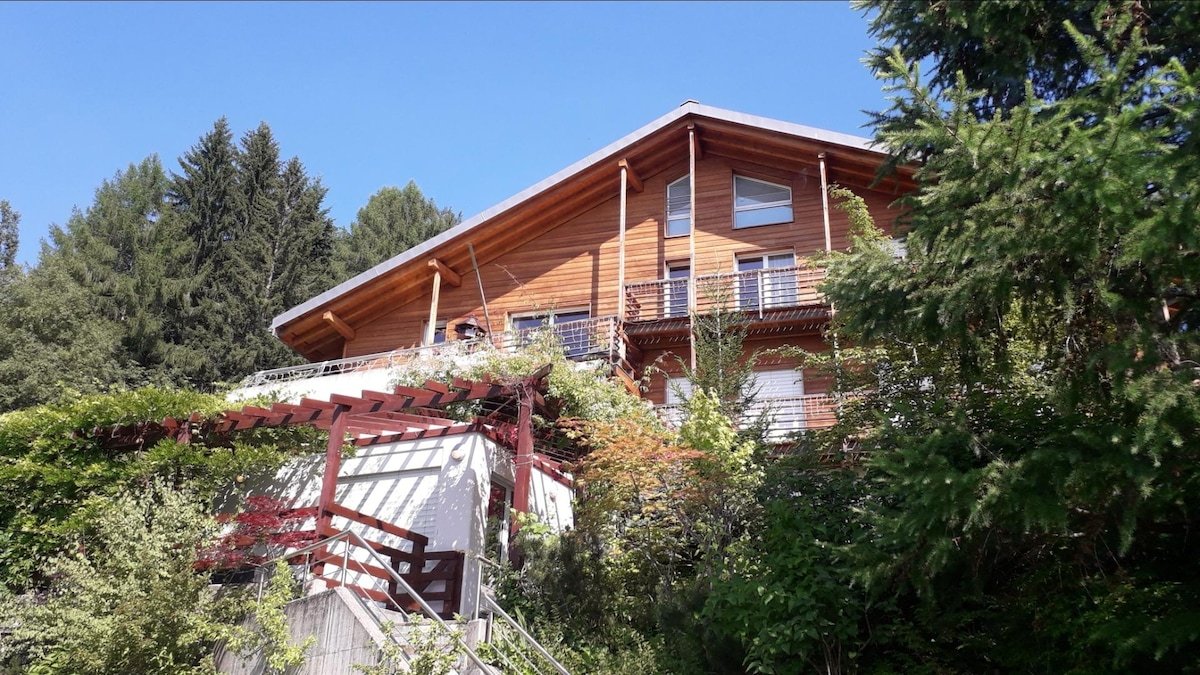 Chalet sur deux étàges privés 260m2 gallery image 3