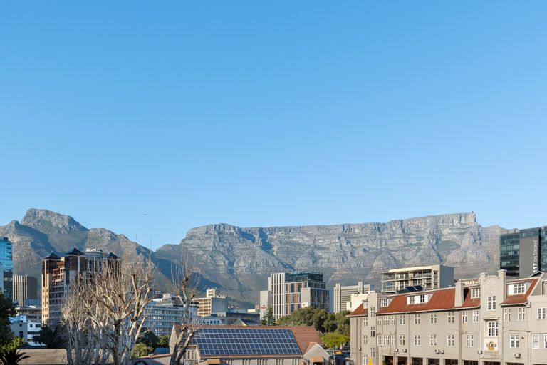 Green Point Tulip featured image