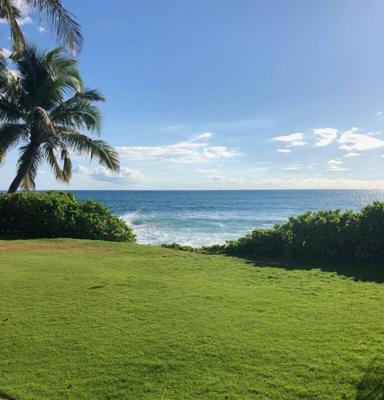 PARADISE FOUND! BEACHFRONT TROPICAL OCEAN OASIS gallery image 4