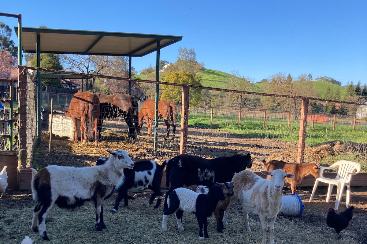 Peaceful Place to Relax gallery image 3