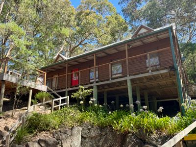 Beach views through the gum trees