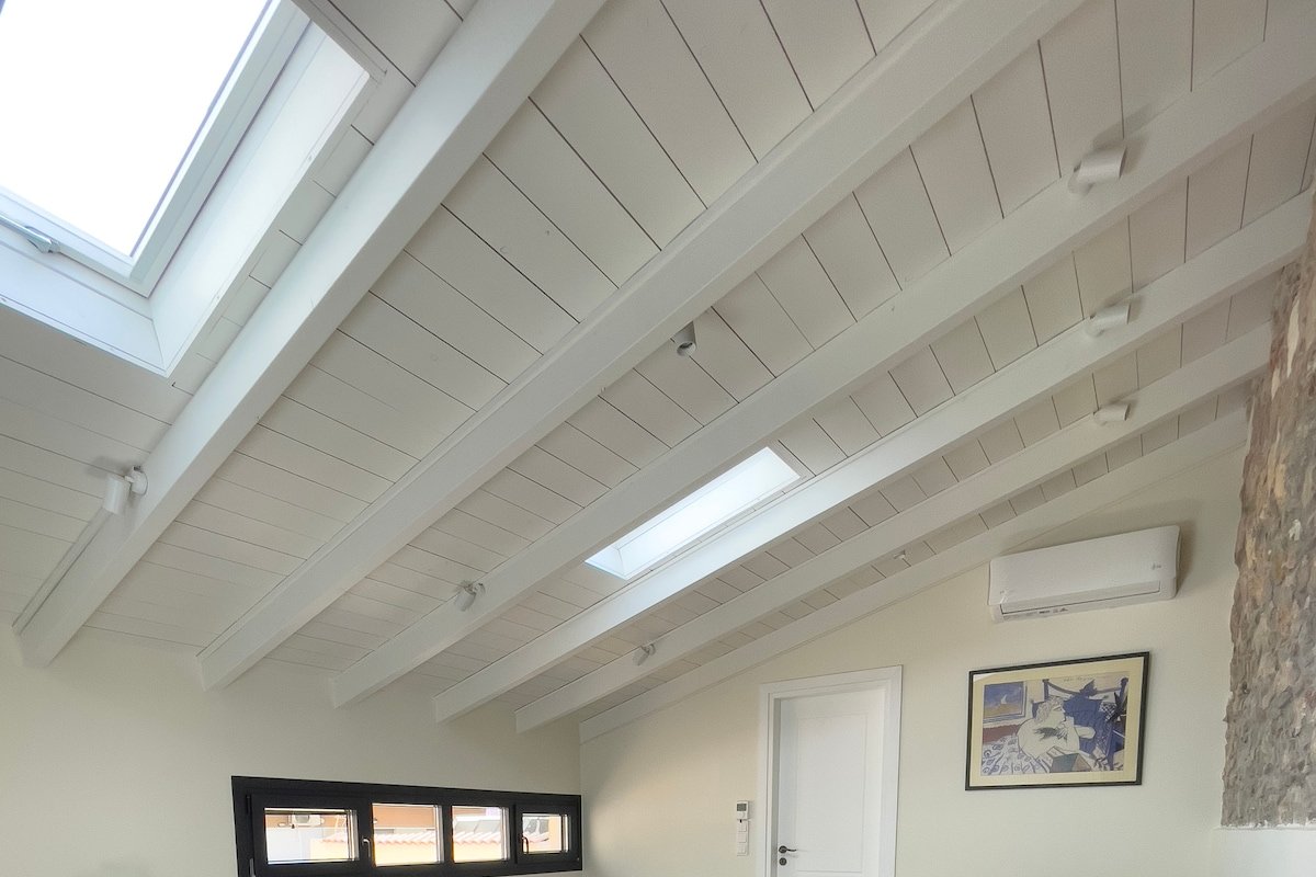 Bigtrel #1Seed and #2Branch gallery image 4