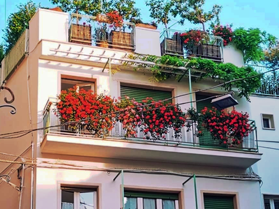 All Palace Suites Apartments Terrace Casa Farella