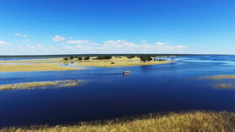 Chobe River Camp - Chobe River Camp