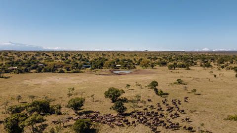 Porini Rhino Camp - The plains around the camp