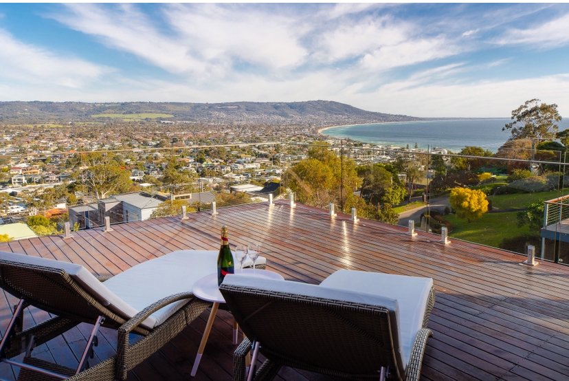 Seabird with a Seaview!