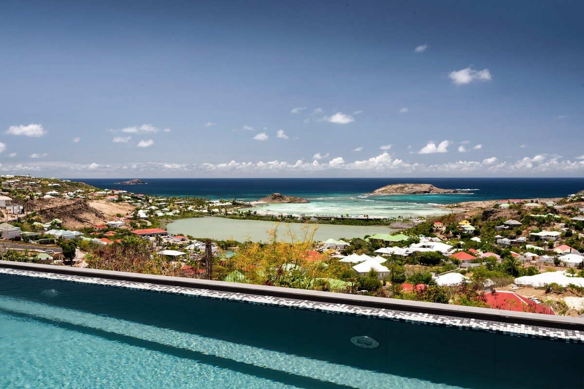 Iris gallery image 4