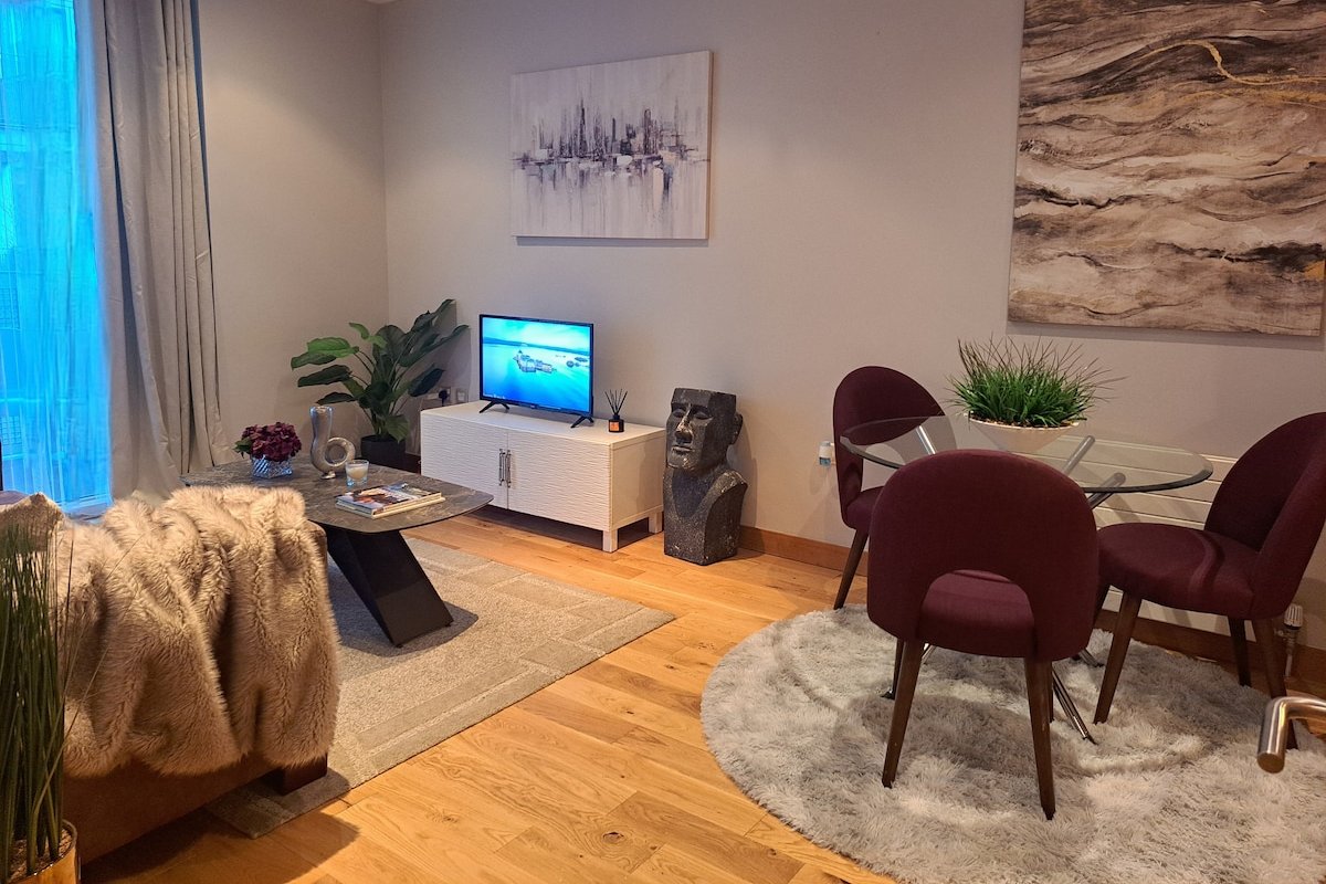 Modern Apartment Dublin City Centre gallery image 4