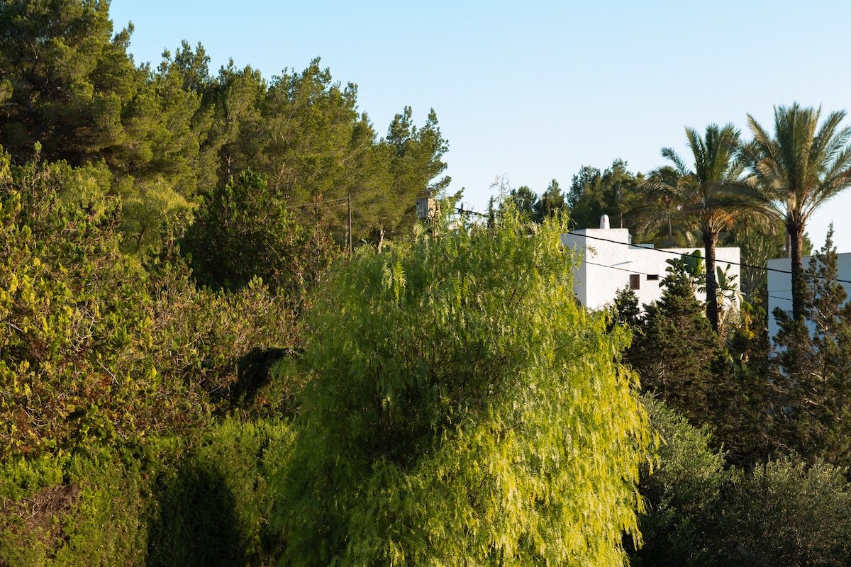 5 mins from Ibiza Town- Private Pool- BBQ-Roof-Top gallery image 3