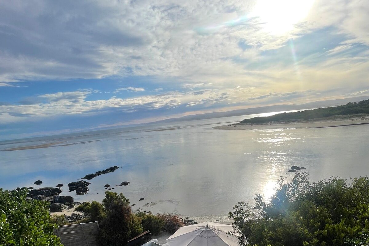 Saltwater Solace gallery image 4