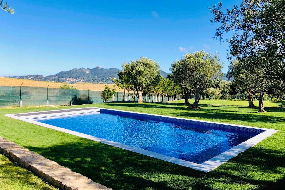 Quinta das Oliveiras gallery image 2