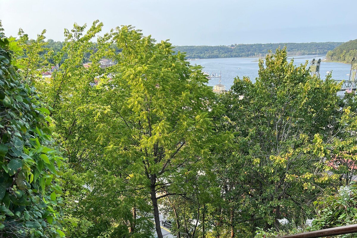GRANDVIEW COTTAGE-BEST VIEW IN STILLWATER gallery image 4