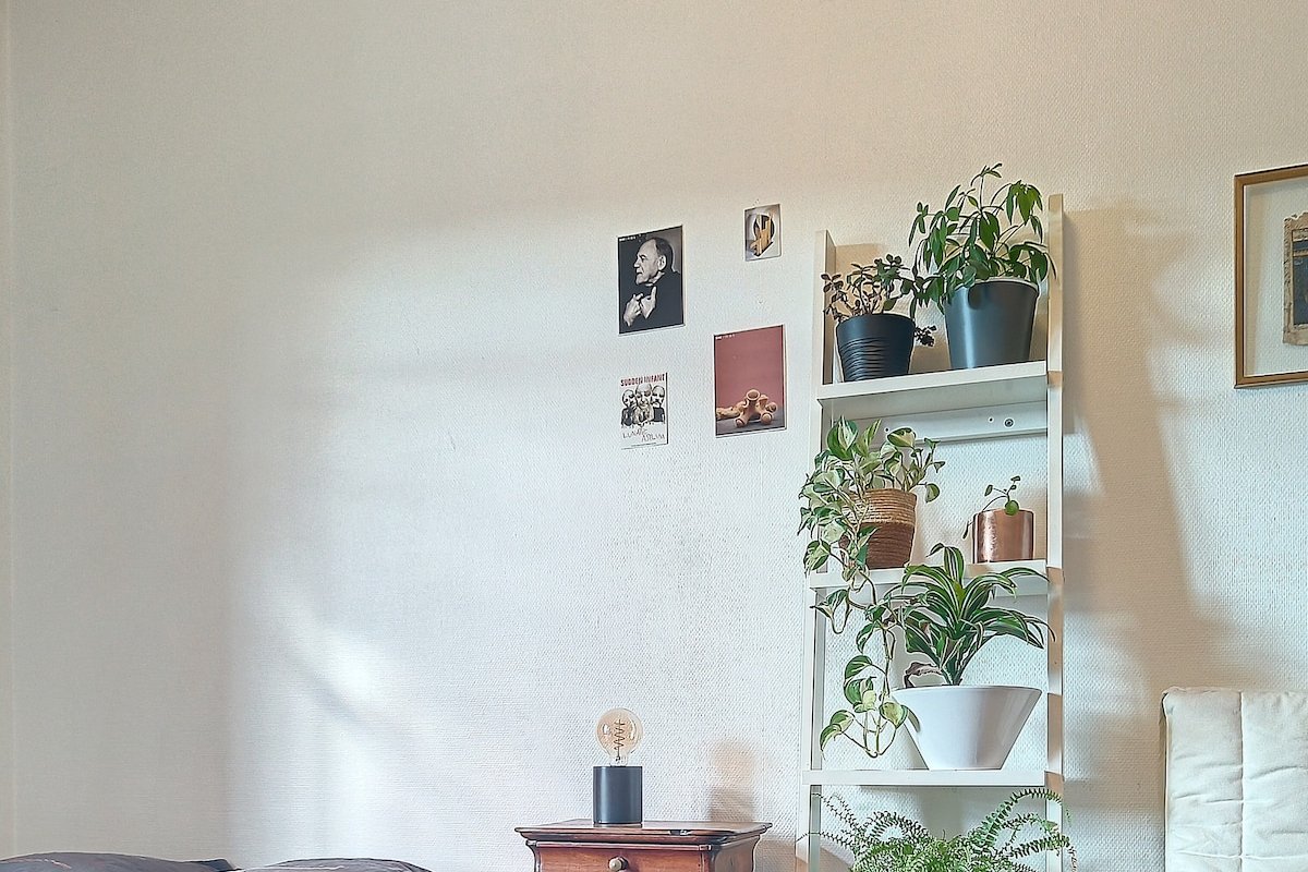 Spacieux T3 80 m² plein centre presqu’ile ! gallery image 3