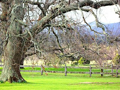 The Barn at Four Oaks Farm