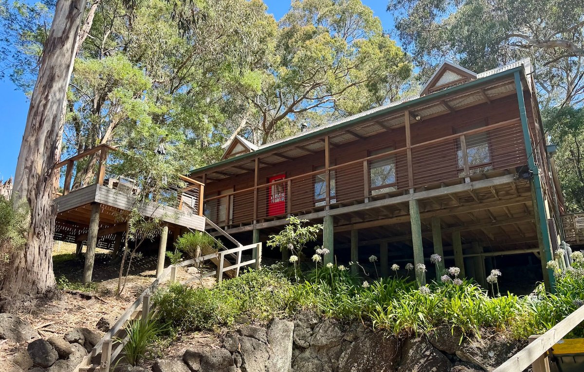 Beach views through the gum trees gallery image 2