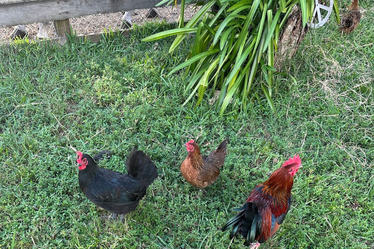 The Grateful Farmhouse gallery image 5