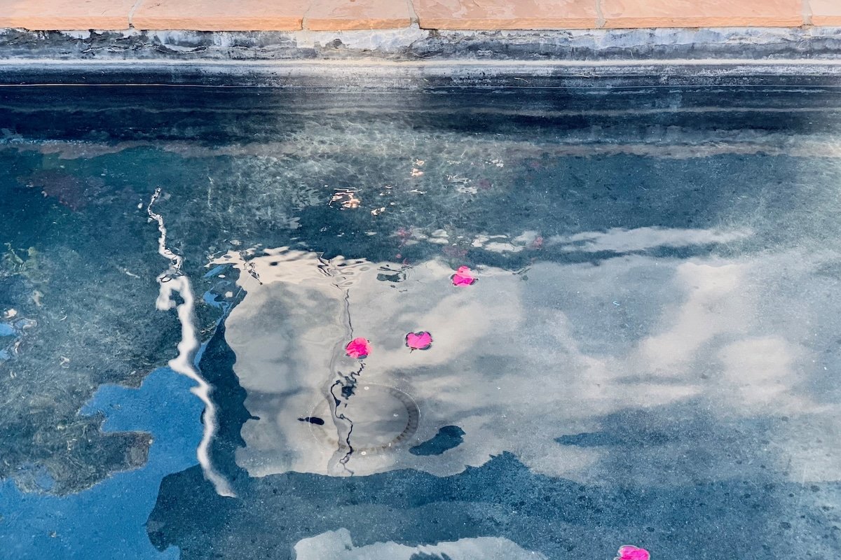 Mid-Century Modern Dream near the Beach gallery image 5