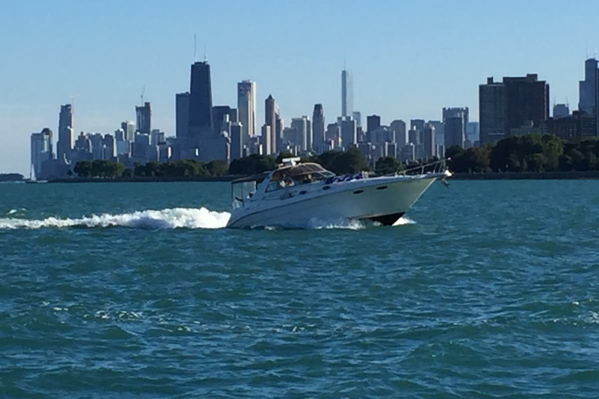 BuckTown/WickerPark House with yard & garage. gallery image 3