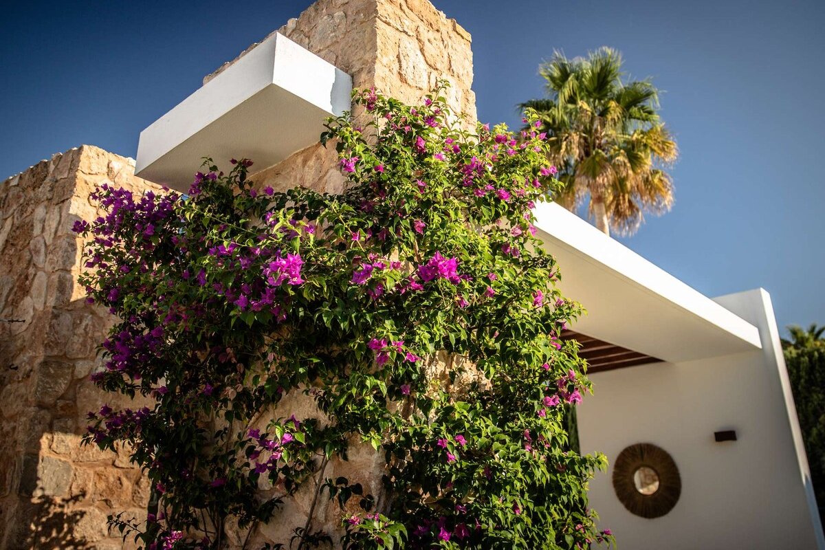 Villa Mykonos gallery image 4