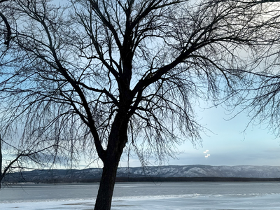 Luxurious Waterfront house on Ottawa River