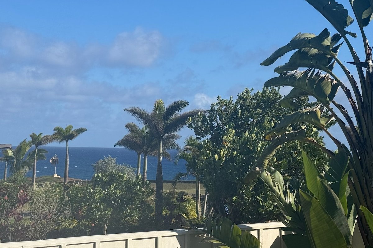 Poipu Ohana Hale! Newly Updated Single Family Home gallery image 3