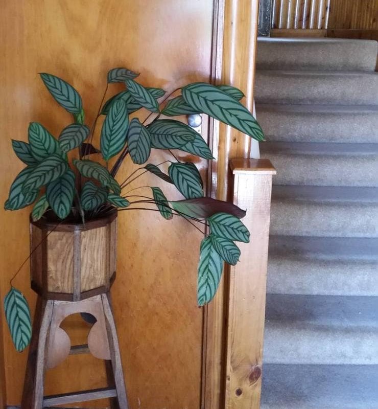 The F Project Residence – whole house gallery image 3